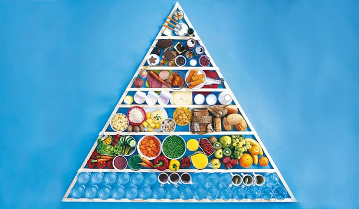 Ernährungspyramide Ernährungspyramide DGE